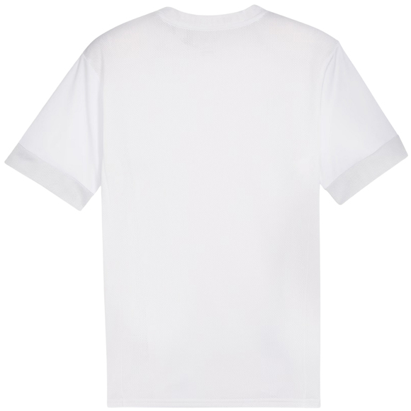 Koszulka męska Puma teamGoal Matchday Jersey biała 705747 04