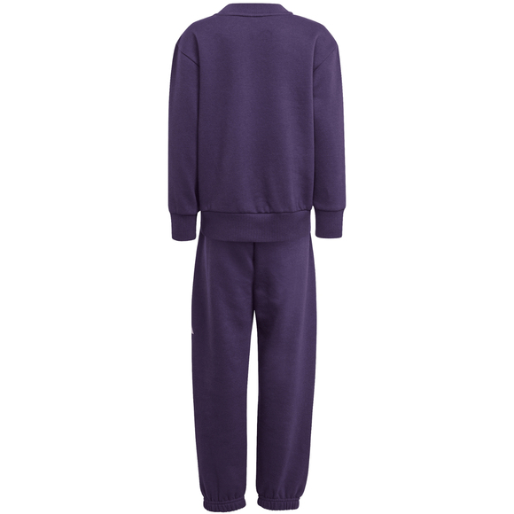Dres dla dzieci adidas Essentials Joggers fioletowy JW2439