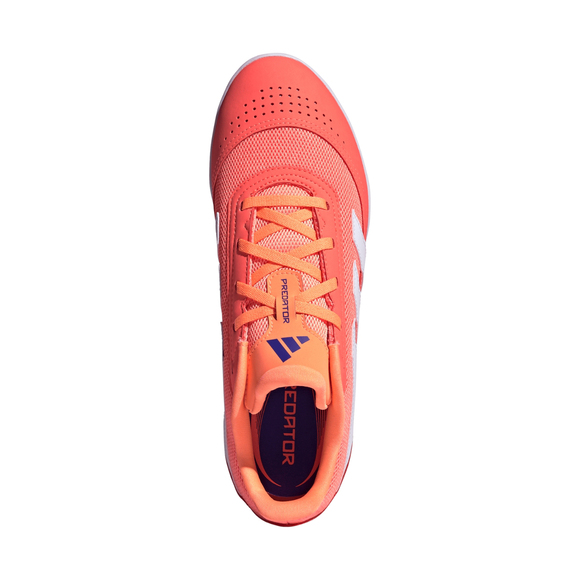 Buty piłkarskie adidas Predator Club IN Sala JH8856
