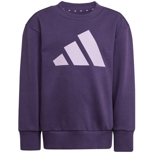 Dres dla dzieci adidas Essentials Joggers fioletowy JW2439