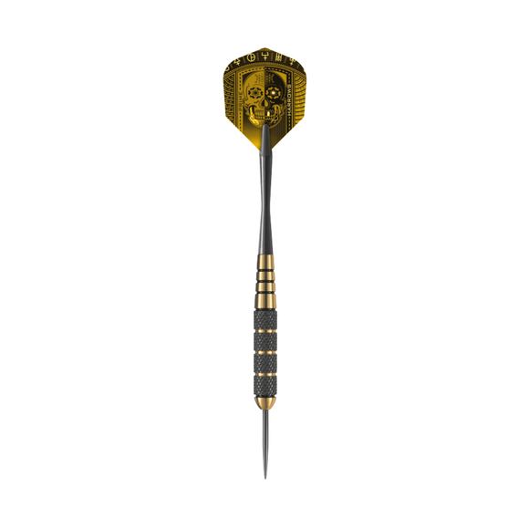 Harrows Rzutki Steeltip VooDoo 25 g