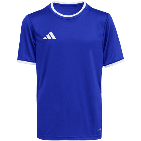 Koszulka dla dzieci adidas Entrada 26 Jersey niebieska JZ2531