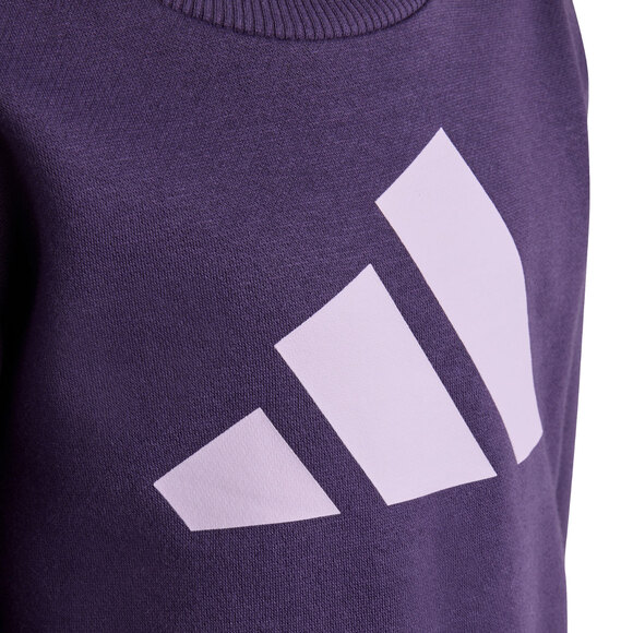 Dres dla dzieci adidas Essentials Joggers fioletowy JW2439