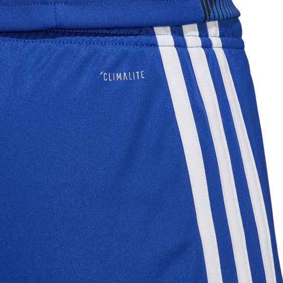 Spodenki dla dzieci adidas Tastigo 19 Shorts JUNIOR niebieskie DP3682/DP3686