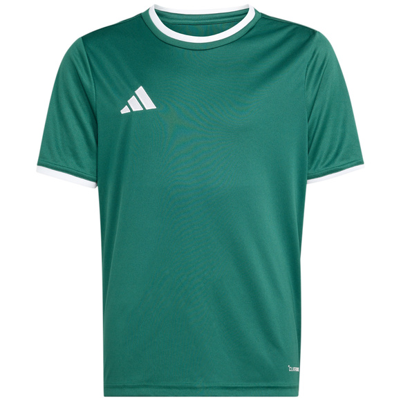 Koszulka dla dzieci adidas Entrada 26 Jersey zielona KE9834