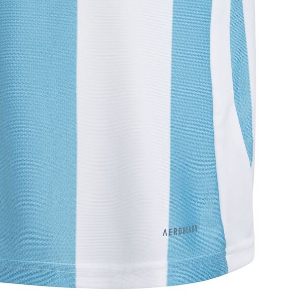 Koszulka dla dzieci adidas Striped 24 Jersey biało-błękitna IW2137