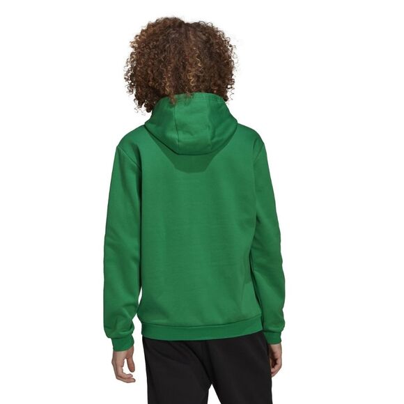 Bluza męska adidas Entrada 22 Sweat Hoodie zielona HI2141