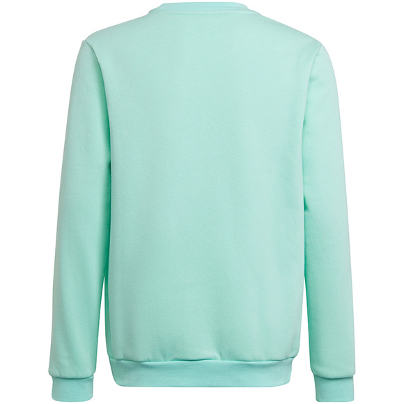 Bluza dla dzieci adidas Entrada 22 Sweat Top miętowa HC5042 