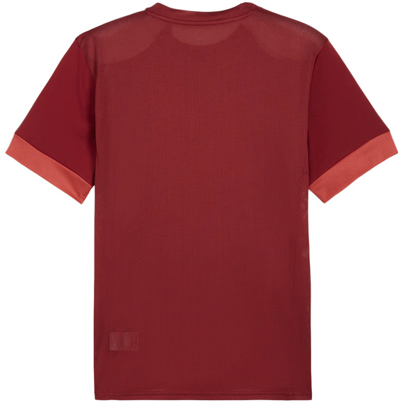 Koszulka męska Puma teamGoal Matchday Jersey bordowa 705747 09