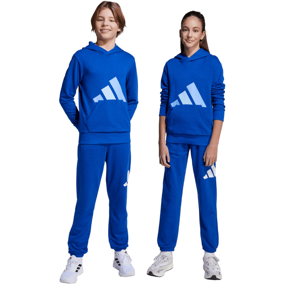 Spodnie dla dzieci adidas Essentials 280 niebieskie JV9916