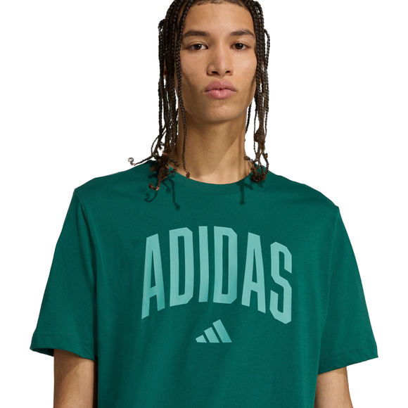 Koszulka męska adidas Collegiate Lineage Graphic zielona KA7135
