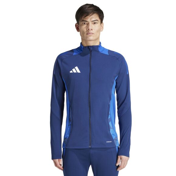 Spodenki męskie adidas Tiro 24 szare IS1408