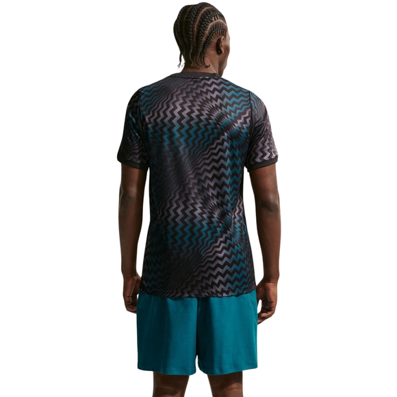 Koszulka męska Nike Dri-Fit Gardien VI Goalkeeper czarno-niebiesko-szara HV8301 010