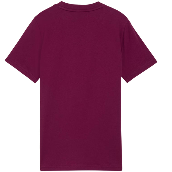 Koszulka dla dzieci Puma Cls Badge Cat Tee fioletowa 694700 41