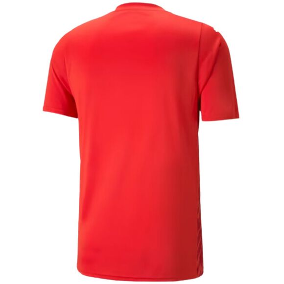 Koszulka męska Puma teamULTIMATE czerwona 705371 01