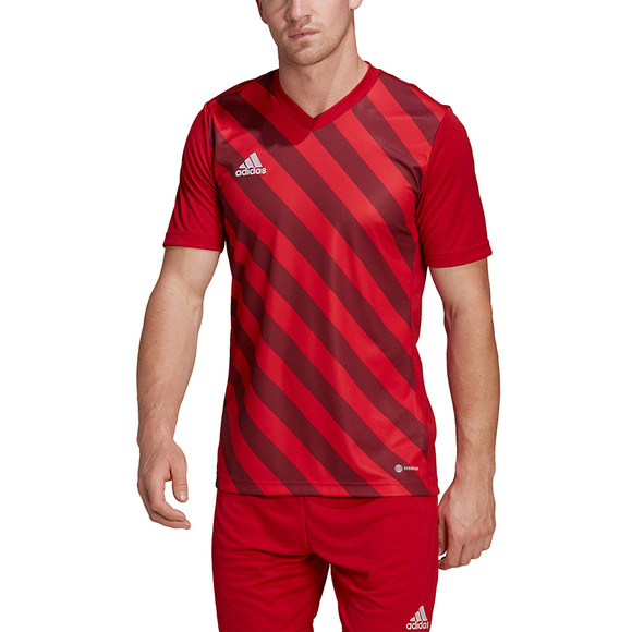 Koszulka męska adidas Entrada 22 Graphic Jersey czerwono-bordowa HB0572