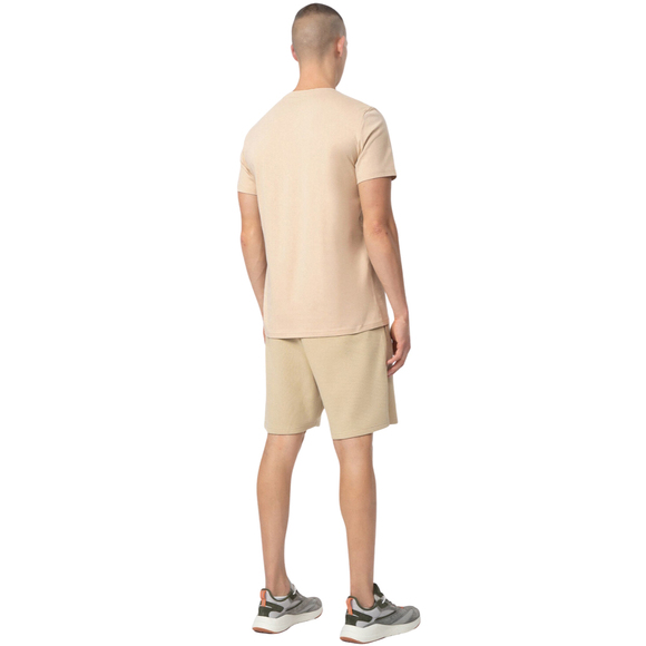 Koszulka męska 4F brąz 4FSS23TTSHM311 81S