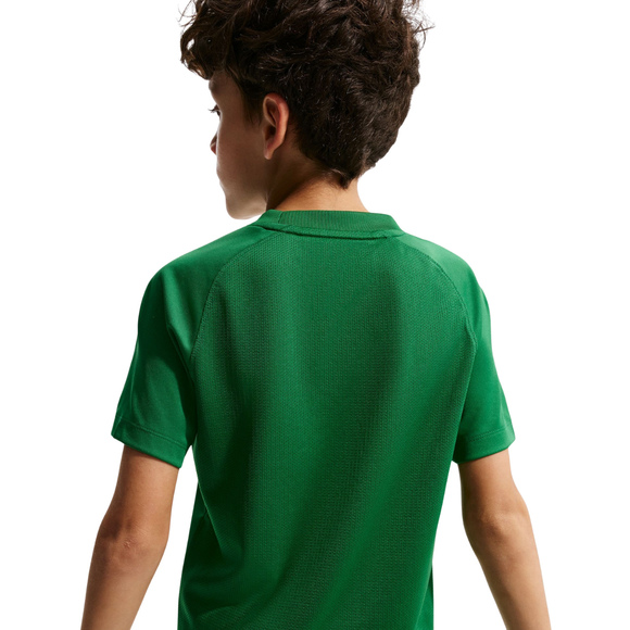 Koszulka dla dzieci Nike Dri-Fit Park VIII zielona HV8182 302