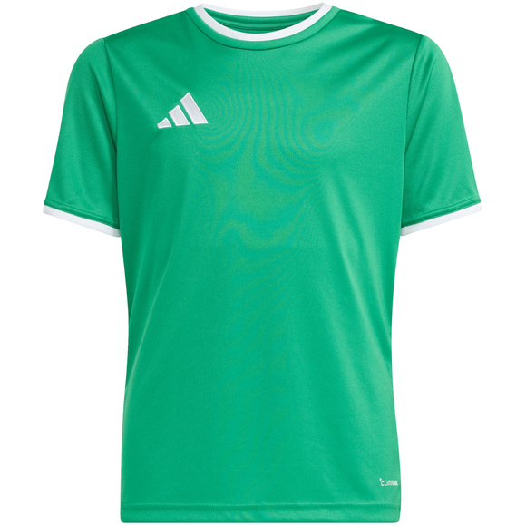 Koszulka dla dzieci adidas Entrada 26 Jersey zielona JZ2528