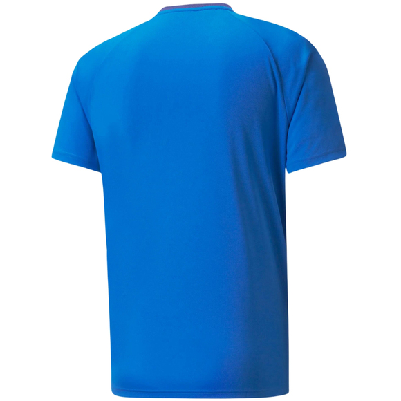 Koszulka męska Puma teamVISION Jersey niebieska 704921 02