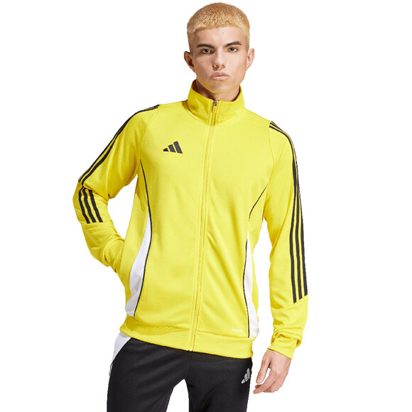 Spodenki męskie adidas Tiro 24 szare IS1408