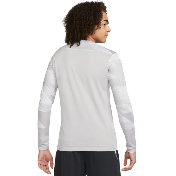Bluza bramkarska męska Nike Dry Park IV JSY LS GK szara CJ6066 052