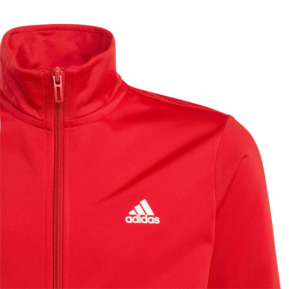 Spodenki męskie adidas Tiro 24 szare IS1408