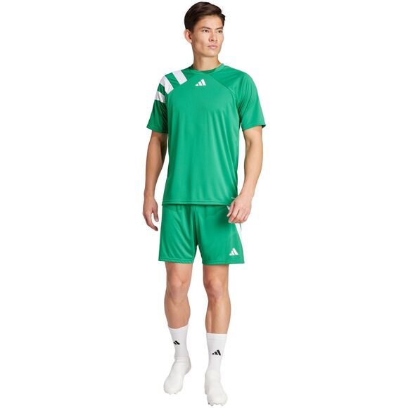 Spodenki męskie adidas Tiro 24 szare IS1408