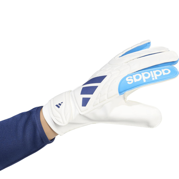 Rękawice bramkarskie adidas Copa Club biało-niebieskie KE9731