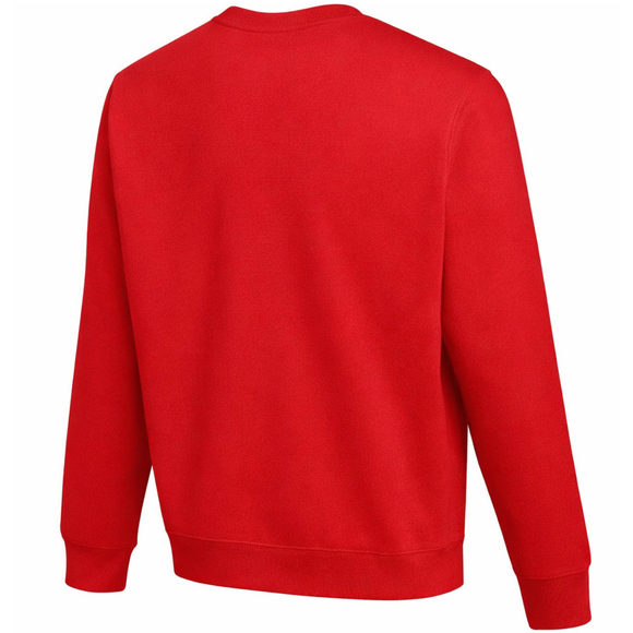 Bluza dla dzieci Nike Park 26 Fleece Crew czerwona IO9045 657