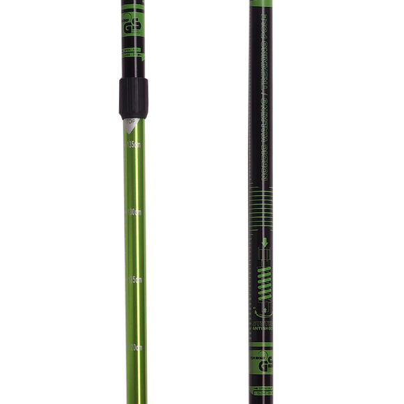 Kijki Nordic Walking Scout Bjorn zielone 3cz
