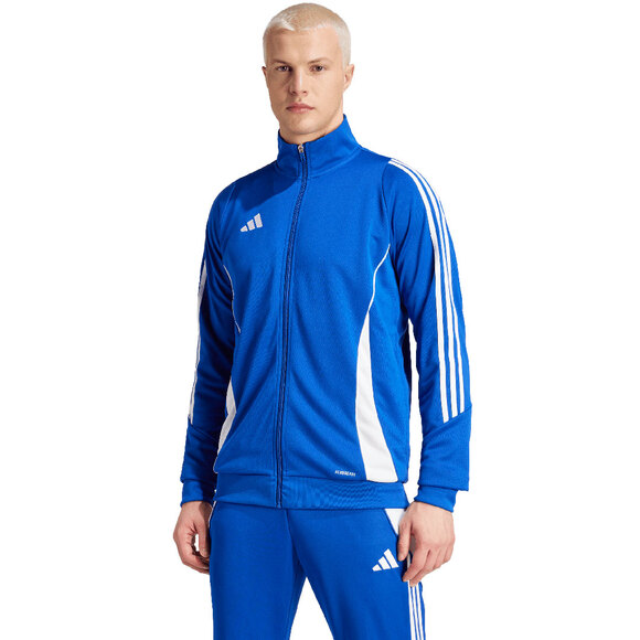 Spodenki męskie adidas Tiro 24 szare IS1408