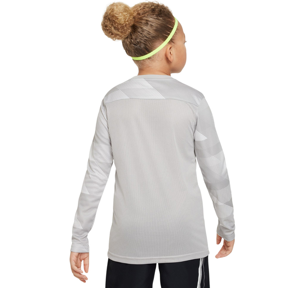 Bluza bramkarska dla dzieci Nike Dry Park IV JSY LS GK JUNIOR szara CJ6072 052
