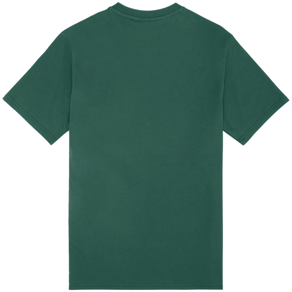 Koszulka męska Fila Laas Regular Tee zielona FAM0874 60105