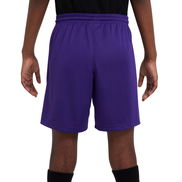 Spodenki dla dzieci Nike Dry Park III NB K fioletowe BV6865 547
