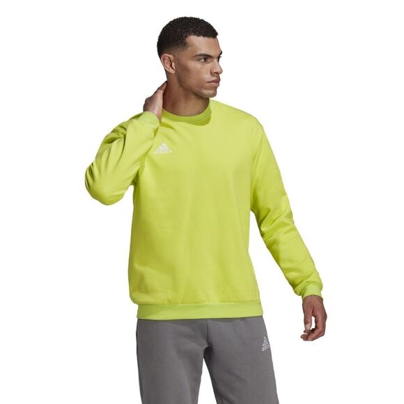 Bluza męska adidas Entrada 22 Sweat Top limonkowa HC5049