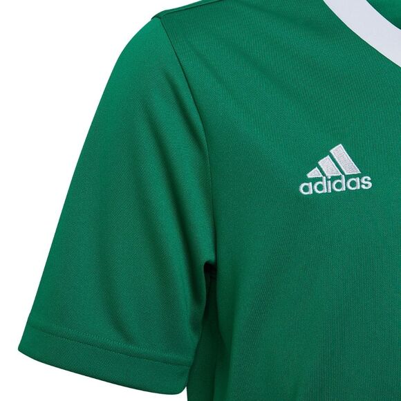 Koszulka dla dzieci adidas Entrada 22 Jersey zielona HI2126