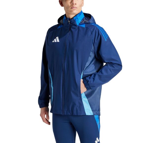 Spodenki męskie adidas Tiro 24 szare IS1408