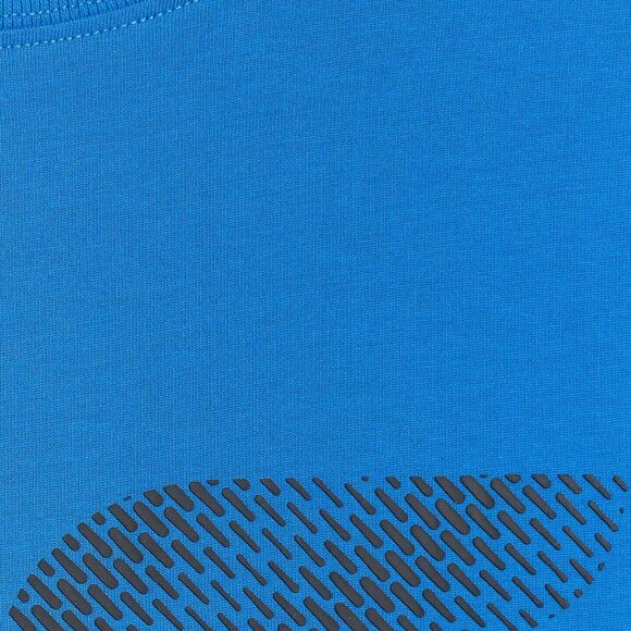 Koszulka męska 4F M3342 niebieska 4FWMM00TTSHM3342 33S