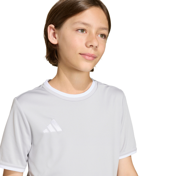 Koszulka dla dzieci adidas Entrada 26 Jersey szara JZ2525