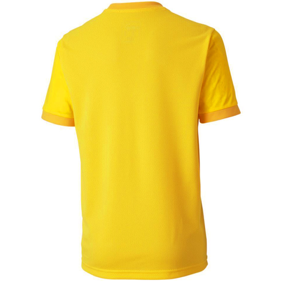 Koszulka dla dzieci Puma teamGOAL 23 Jersey żółta 704160 07