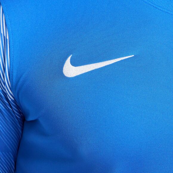 Bluza bramkarska męska Nike Dry Park IV JSY LS GK niebieska CJ6066 463