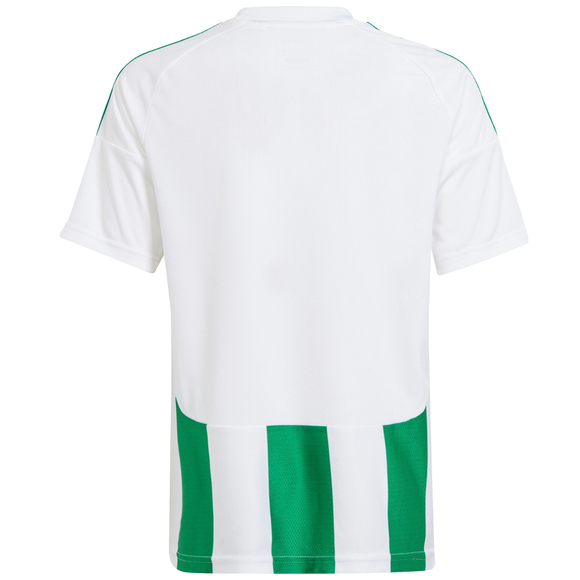 Koszulka dla dzieci adidas Striped 24 biało-zielona IW2138