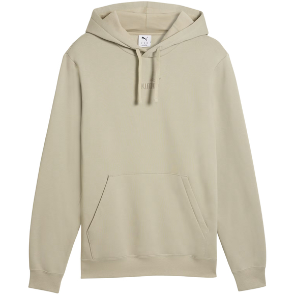 Bluza męska Puma ESS No.1 Logo Centered Hoodie szara 692914 61