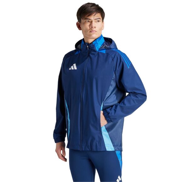 Spodenki męskie adidas Tiro 24 szare IS1408