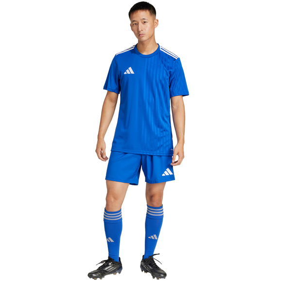 Spodenki męskie adidas Tastigo 25 niebieskie JN7159