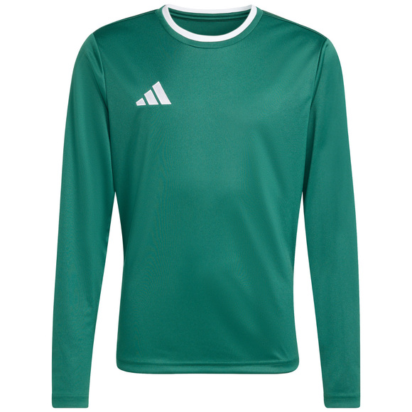 Koszulka dla dzieci adidas Entrada 26 Long Sleeve Jersey zielona KF5873