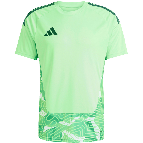 Koszulka męska adidas Tiro 26 Competition Goalkeeper Jersey zielona KC5353