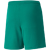 Spodenki dla dzieci Puma teamLIGA Shorts Jr zielone 704931 05