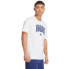Koszulka męska adidas Collegiate Lineage Graphic biała JM6416